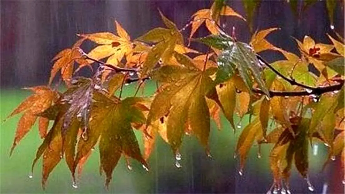 رگبار باران و کاهش دمای هوا در بیشتر استانها