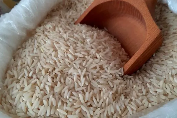 نرخ جدید برنج در میادین میوه و تره‌بار / قیمت برنج مردم را شوکه کرد