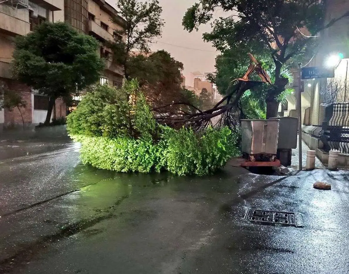 طوفان و کاهش شدید دما از عصر یکشنبه تا چهارشنبه 17 اردیبهشت در تهران