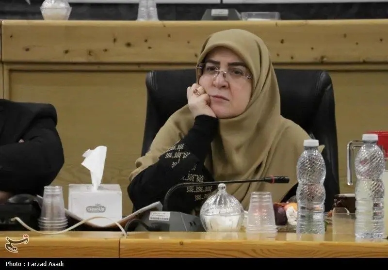 سخنگوی دولت: با طرح اصلاح قانون مهریه‌ مخالفت کردیم