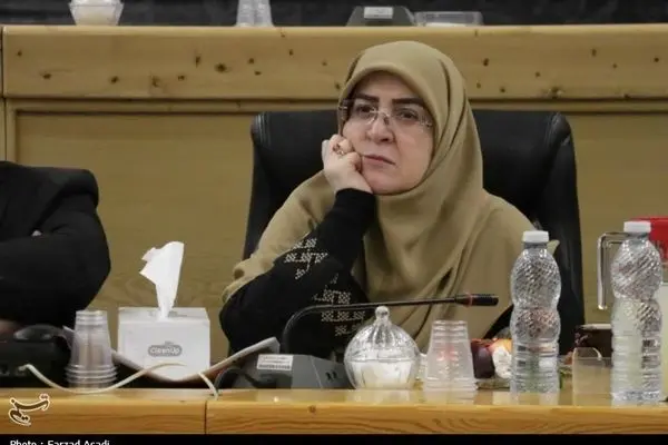 سخنگوی دولت: با طرح اصلاح قانون مهریه‌ مخالفت کردیم