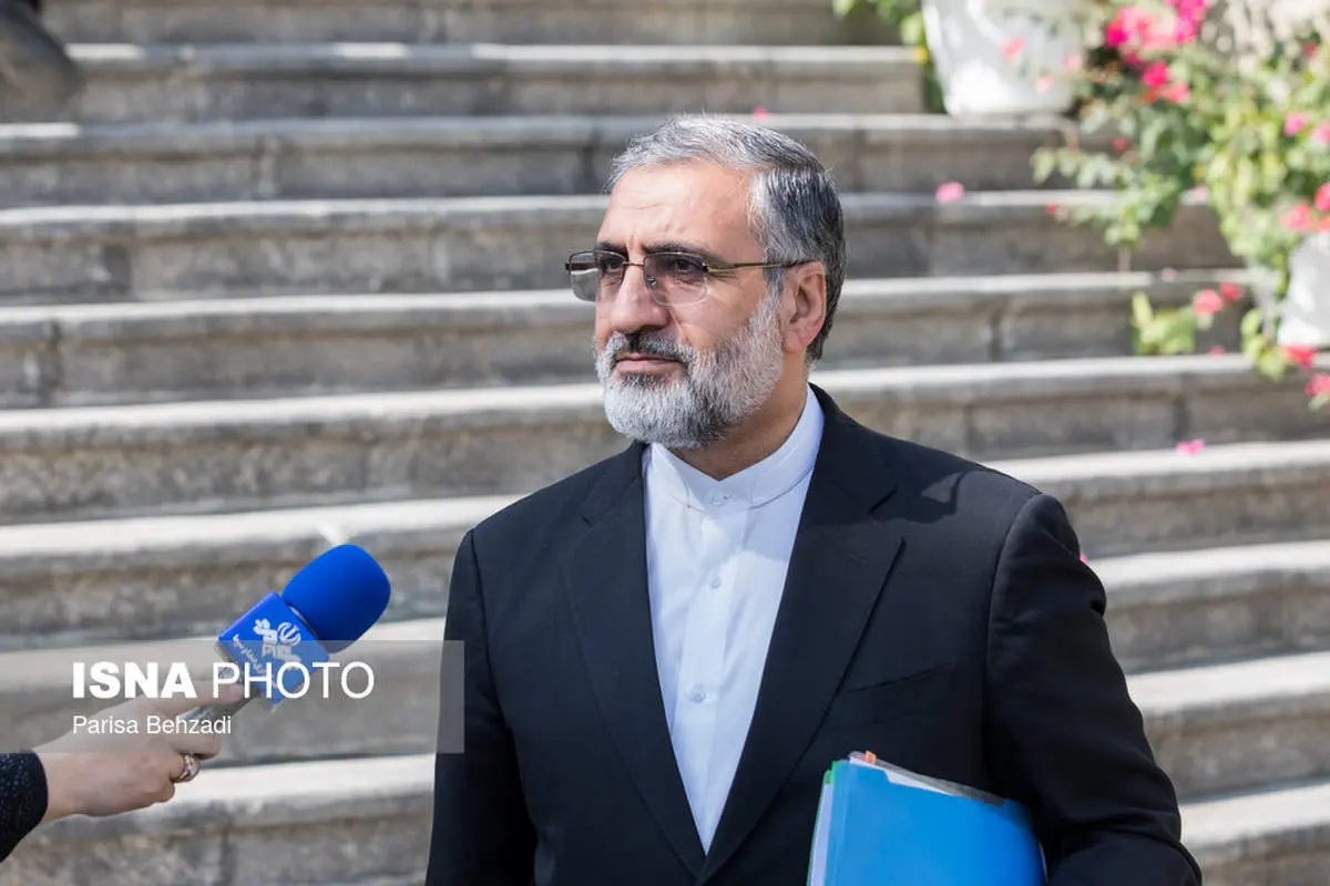 موضع دولت در انتخابات  مشخص شد/ اسماعیلی: کاندیدایی نداریم