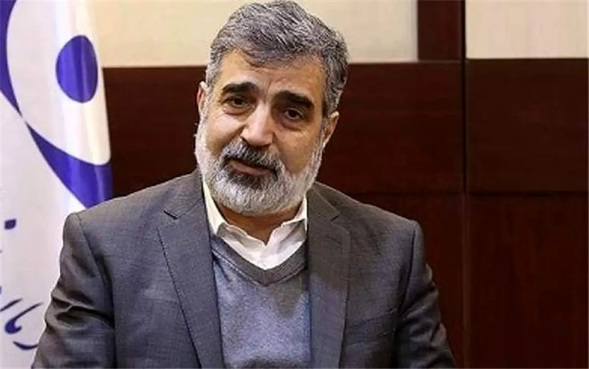 کمالوندی: توطئه در جریان است؛ آژانس گناهکار است / دیدن ۲ ذره زیر میکروسکوپ به منزله غنی سازی ۸۰ درصدی نیست / بخواهیم بیشتر غنیسازی کنیم اعلام میکنیم