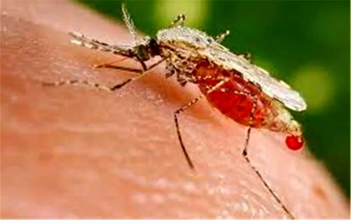 علت افزایش بروز مالاریا در کشور طی ۶ ماه نخست امسال چه بود؟