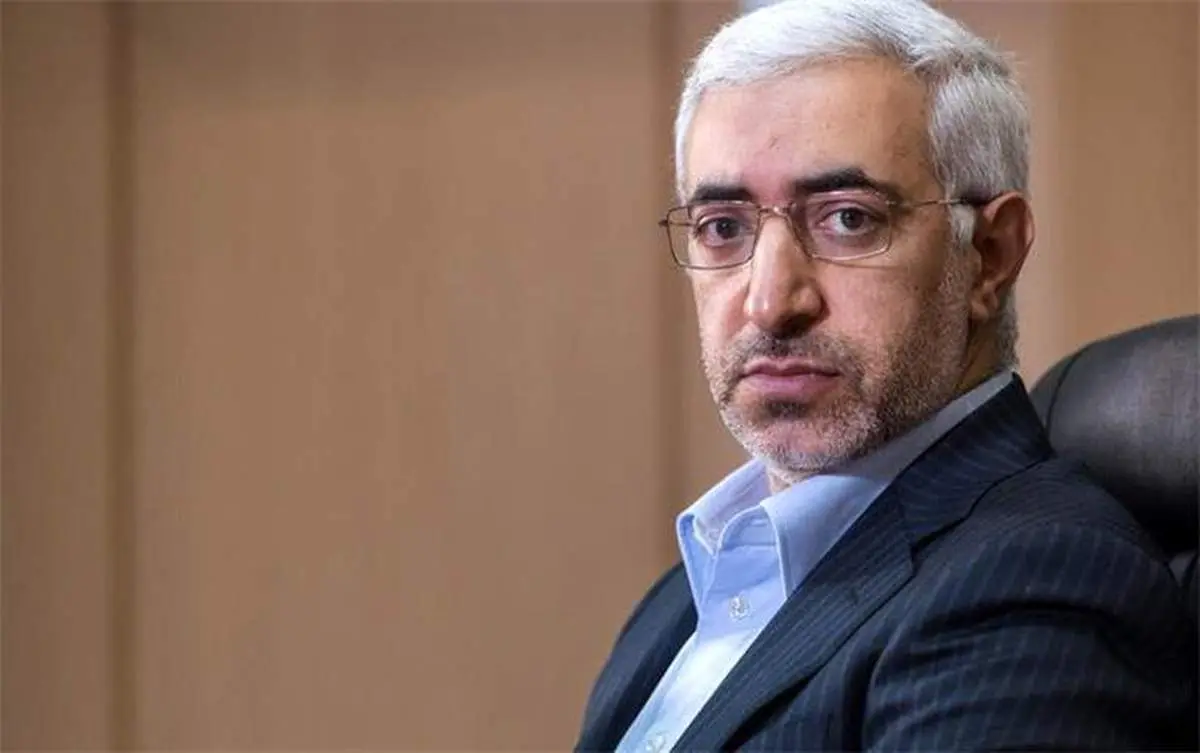 نگران صعود اخیر بورس نباشیم / سرمایهگذاران خرد حمایت میشوند