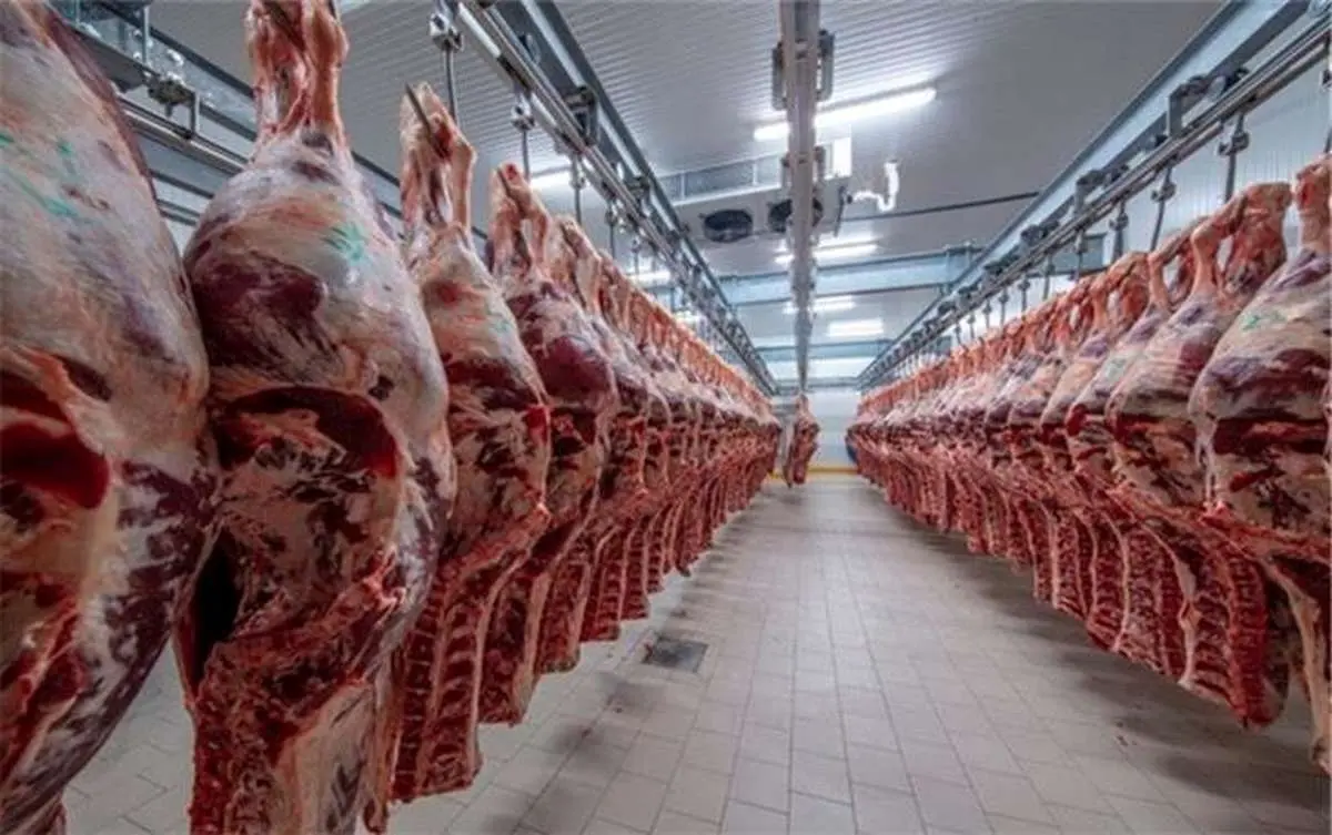 واردات ۲۵۰ هزار تن گوشت؛ تیشه به ریشه دام داخلی/ سرمایه ملت خرج بازار استرالیا و رومانی می‌شود