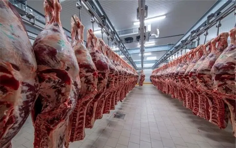 واردات ۲۵۰ هزار تن گوشت؛ تیشه به ریشه دام داخلی/ سرمایه ملت خرج بازار استرالیا و رومانی می‌شود