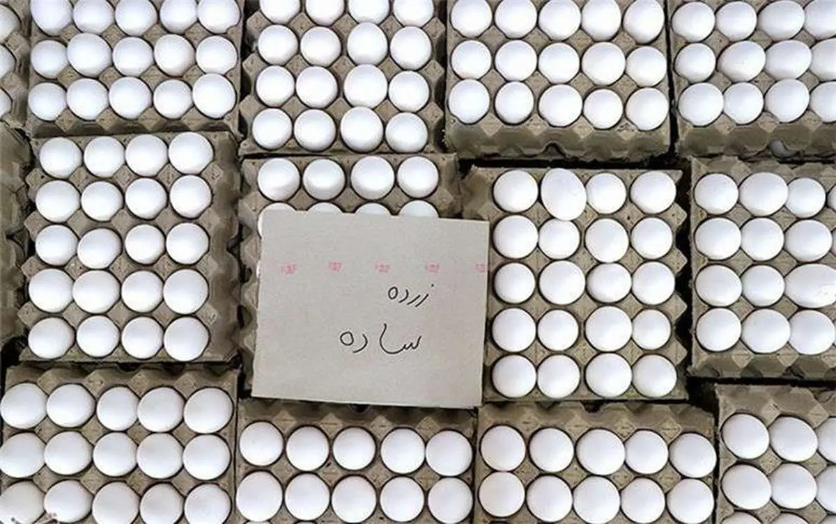 اخطار وزارت جهاد کشاورزی به مرغداران / تخم‌مرغ را گران کنید تعزیراتی می‌شوید