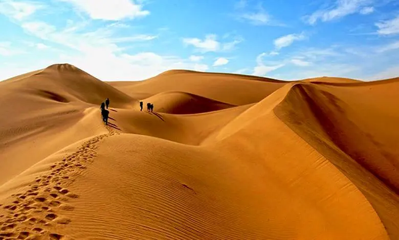 سرانجام 15 گردشگر گمشده در طبس چه شد؟