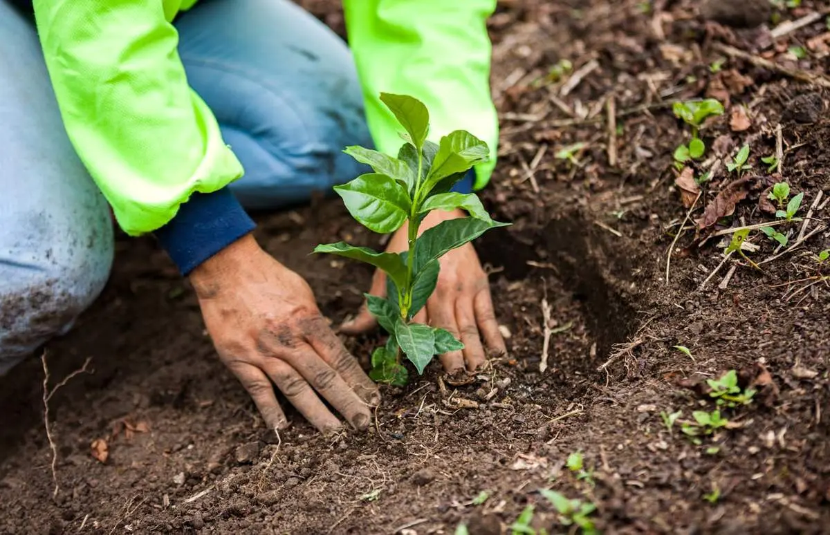 معرفی پروژه Net Zero شرکت نستله: راهکاری برای آینده پایدار