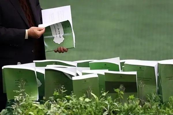 حذف بودجه نهادهای بی‌ثمر؛ گام بزرگ اصلاحات اقتصادی