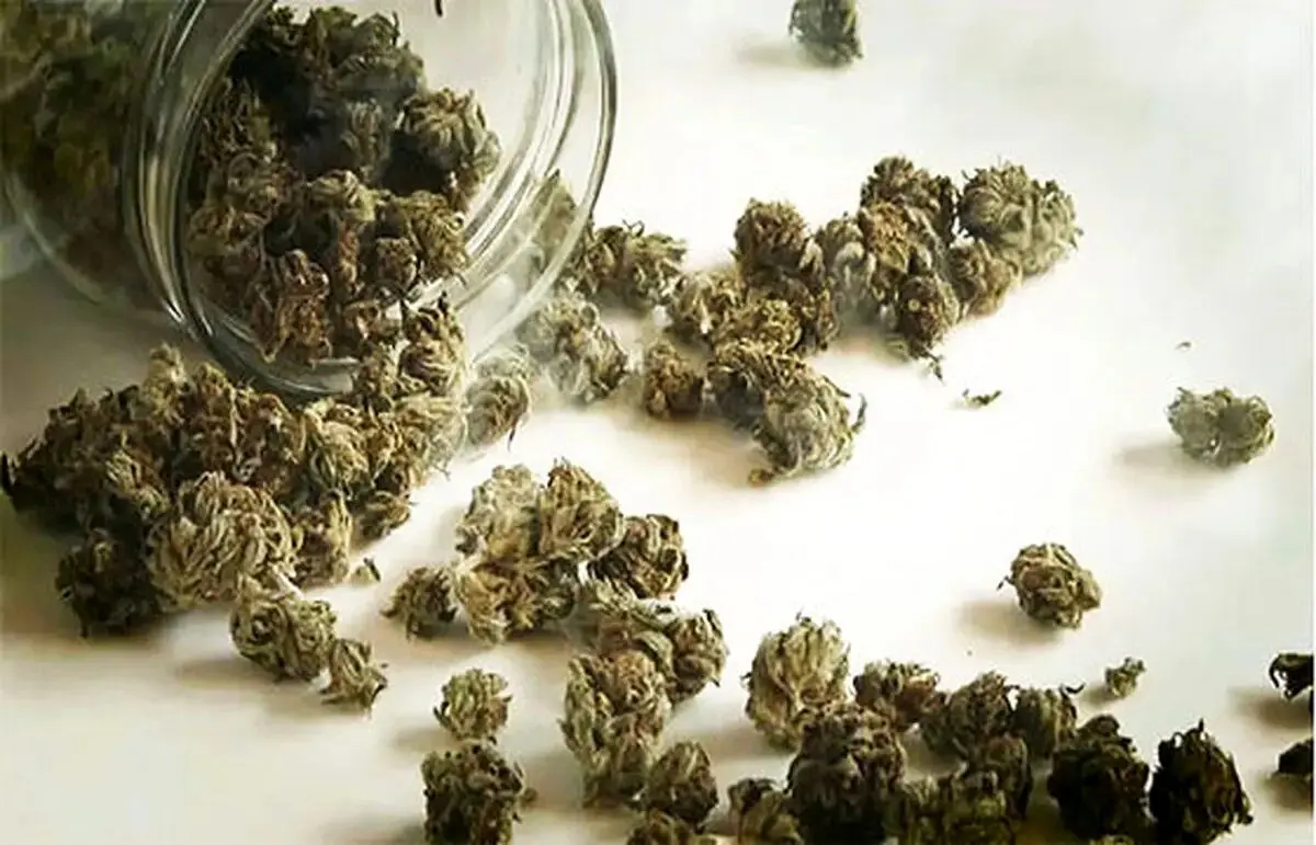 هشدار درباره مخدرهای جدید / «کِمیکال» و «بنزای» خطرناک‌تر از گل