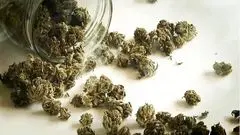 هشدار درباره مخدرهای جدید / «کِمیکال» و «بنزای» خطرناک‌تر از گل