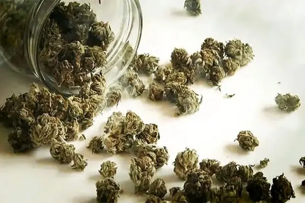 هشدار درباره مخدرهای جدید / «کِمیکال» و «بنزای» خطرناک‌تر از گل