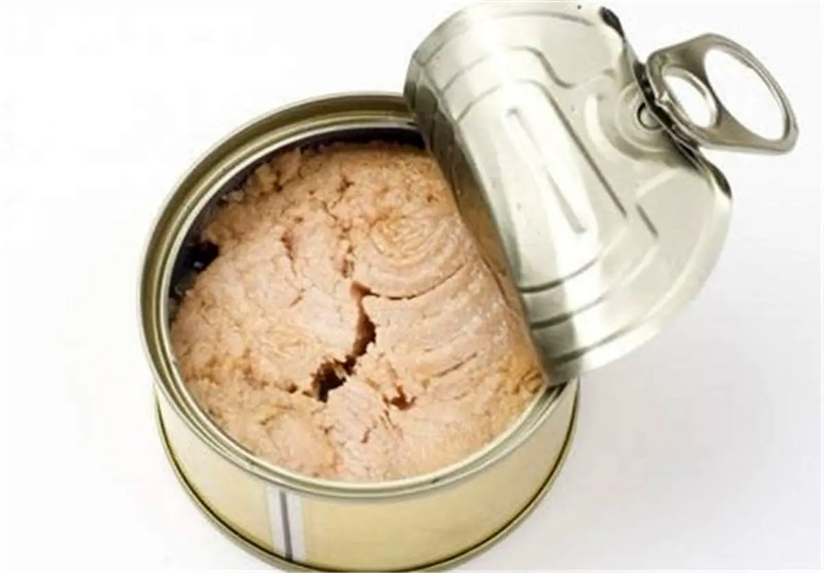  کنسرو ماهی در ایران ماده نگهدارنده ندارد؟