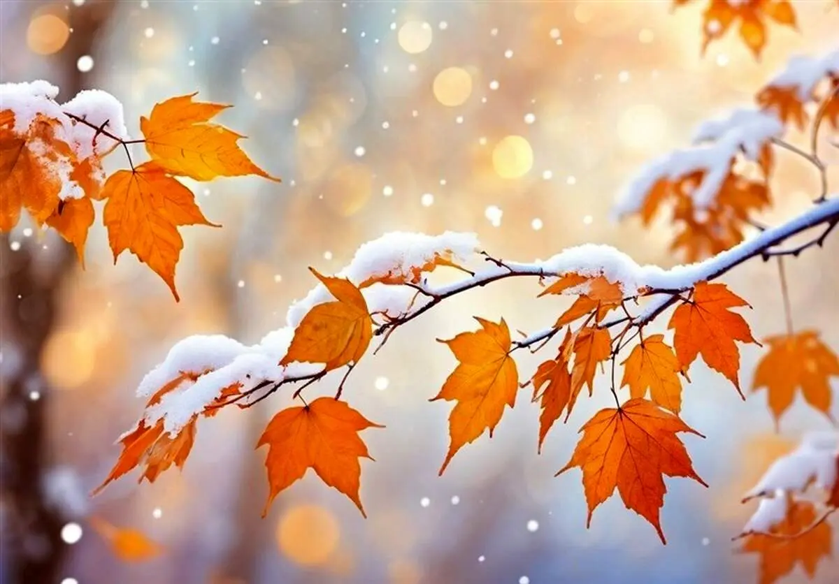 هشدار نارنجی فعالیت سامانه بارشی در ۱۰ استان/بارش اولین برف پاییزی