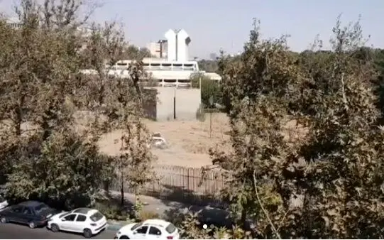 واکنش مدیر موزه فرش به جنجال فضای سبز: تنها ۳ چنار خشک حذف شدند