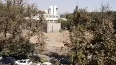 واکنش مدیر موزه فرش به جنجال فضای سبز: تنها ۳ چنار خشک حذف شدند