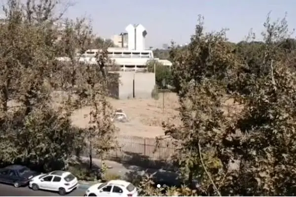 واکنش مدیر موزه فرش به جنجال فضای سبز: تنها ۳ چنار خشک حذف شدند