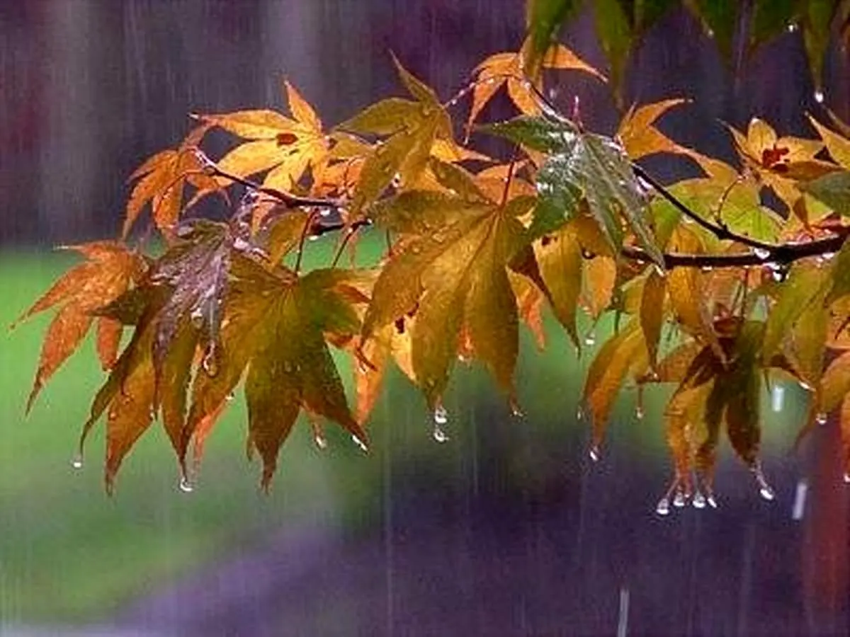 هشدار درباره رگبار و رعد و برق در ۱۴ استان