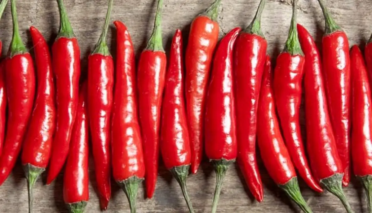 خوردن فلفل چیلی خطر چاقی را افزایش میدهد؟