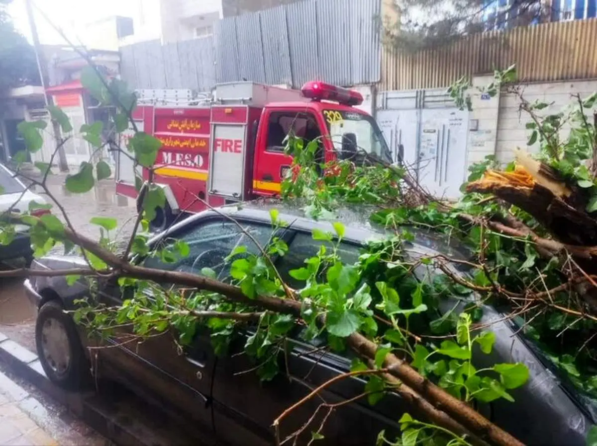 صفر تاصد دریافت خسارات ناشی از توفان 