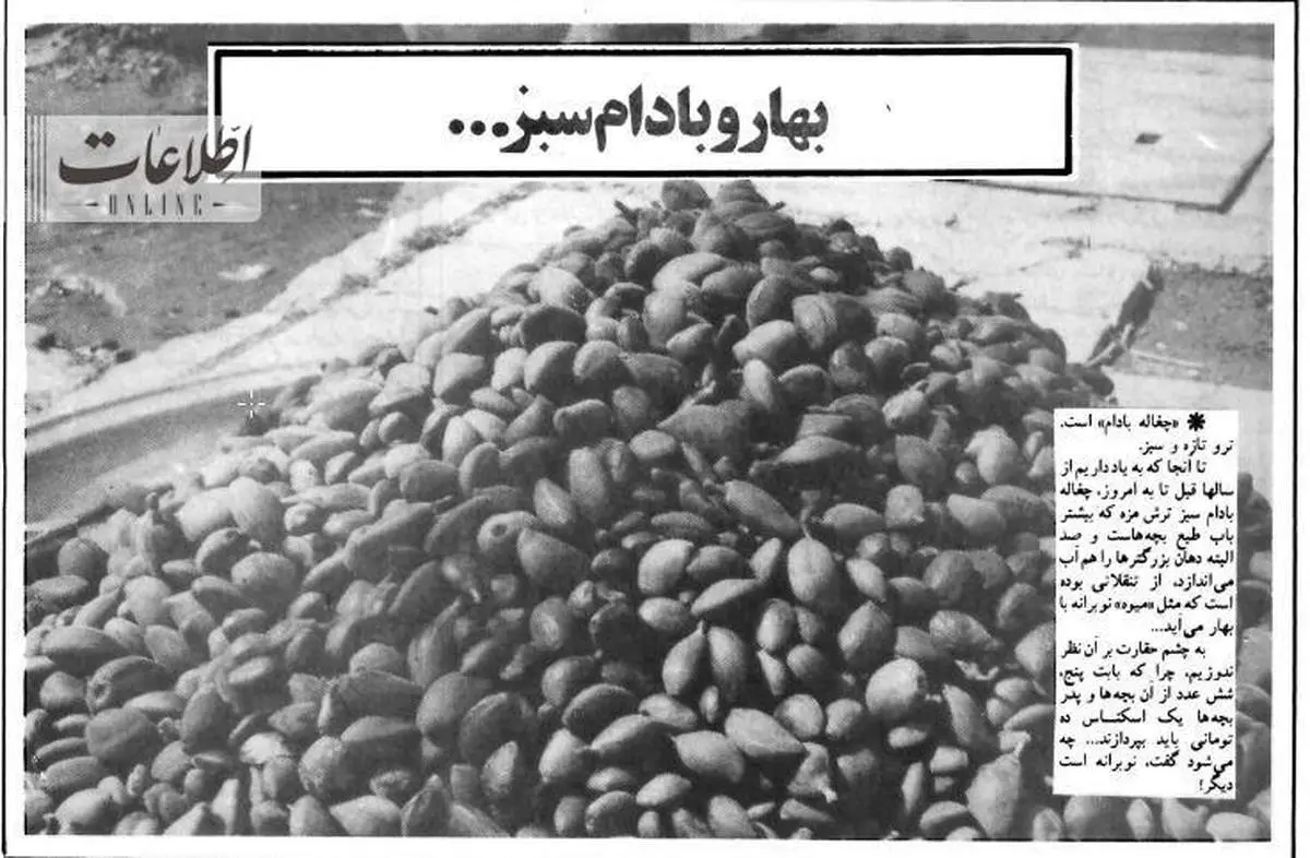 عکس/«چغاله بادام» ترمز برید و سیری ۱۰ تومان شد!