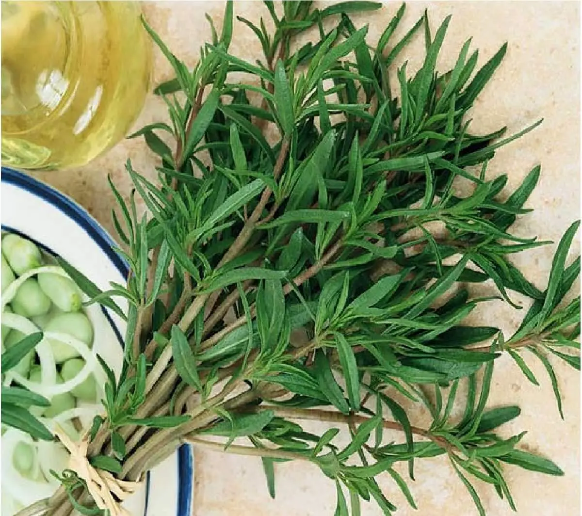 تقویت حافظه و تمرکز ذهنی، فقط با خوردن این گیاه!