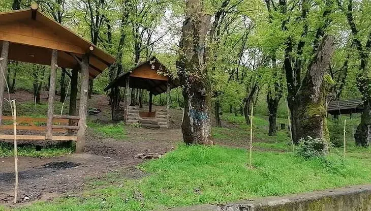 سوسک های پوست‌خوار در این پارک تهران طغیان کرده اند