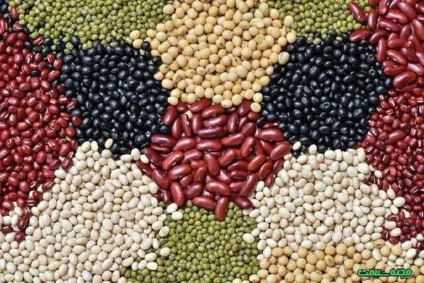 آیا مصرف حبوبات موجب بالا رفتن فشار خون می‌شود؟