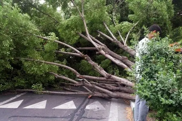 هشدار زرد سازمان هواشناسی برای پایتخت 
