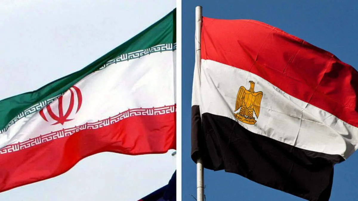 قاهره ارتقای روابط با تهران را تکذیب کرد/ وزیر خارجه مصر: آنچه مطرح شده تنها حدس و گمانهزنی است
