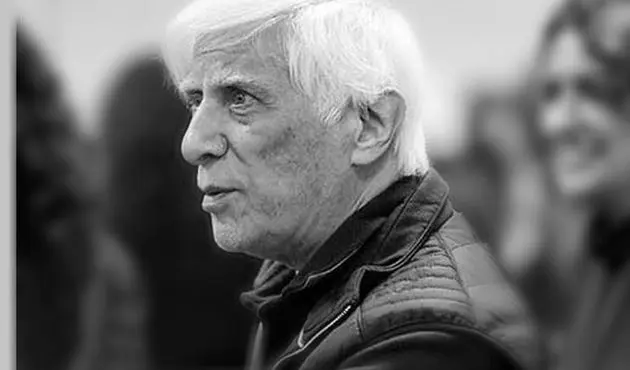 غریبه در مه فرو  رفت