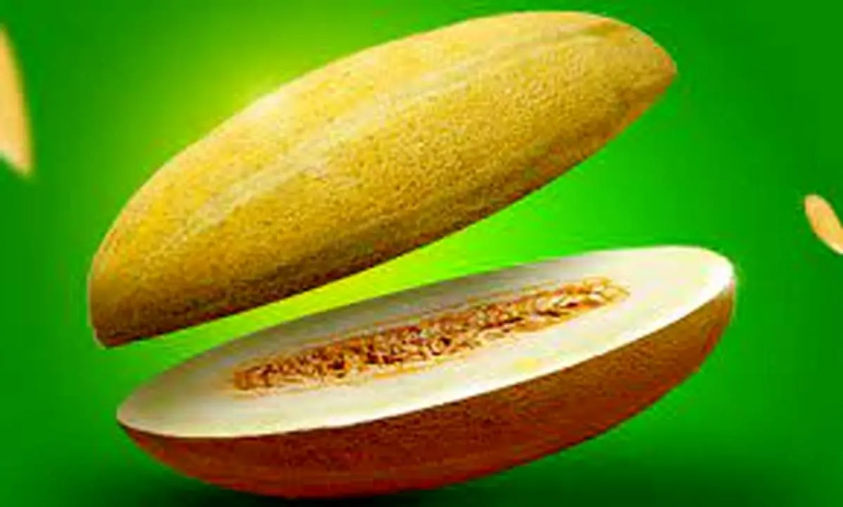 خواص بینظیر خربزه