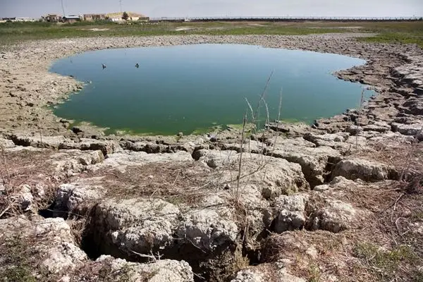 سراب نیلوفر به‌طور کامل خشک شد