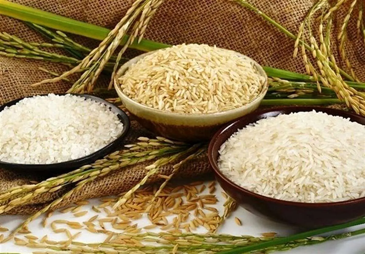 توزیع گسترده برنج ارزان از این تاریخ در فروشگاههای زنجیرهای