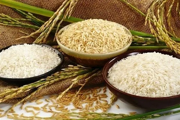 توزیع گسترده برنج ارزان از این تاریخ در فروشگاه‌های زنجیره‌ای
