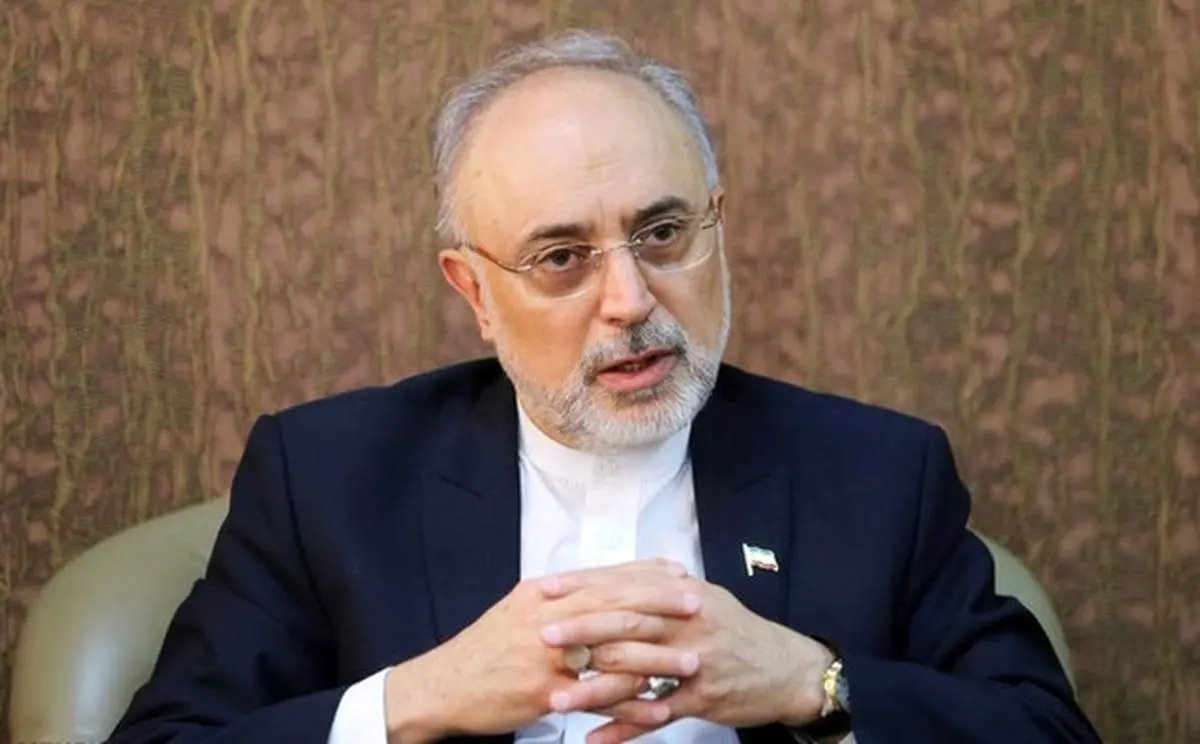 نسخه علیاکبر صالحی برای برون رفت از مشکلات کشور | زمان مذاکره با آمریکاست