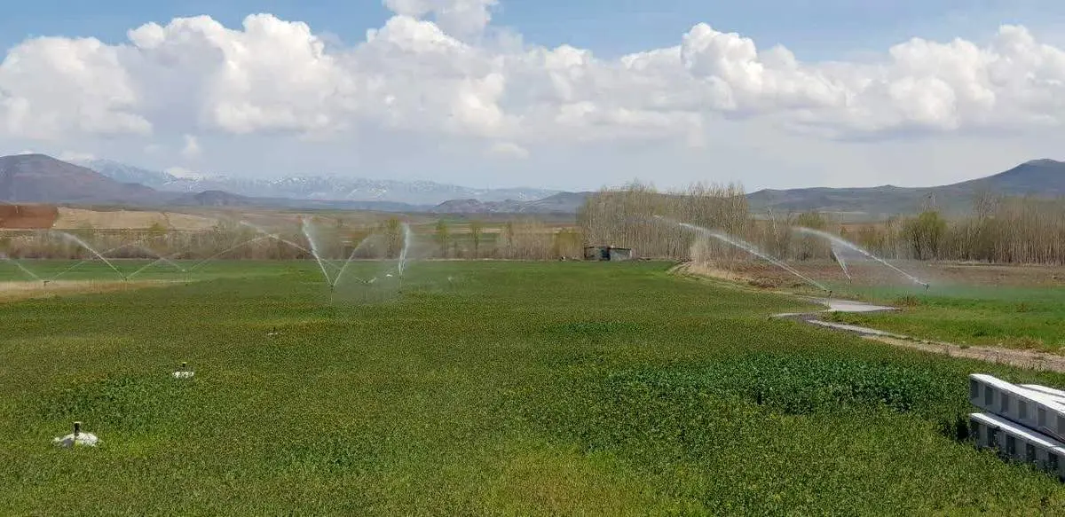 تجهیز بیش از ۱۰۰۰ هکتار از زمینهای کشاورزی اردبیل به سیستم آبیاری تحت فشار