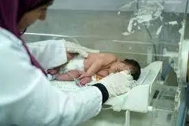 وضعیت تلخ نوزادان نارس در بیمارستان الشفاء غزه / فیلم