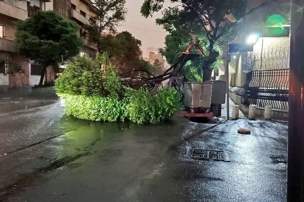 آمار مصدومان طوفان دیشب تهران به چند نفر رسید؟ 