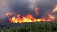 آتش سوزی گسترده در جنگل‌های جاده چالوس/ درخواست محیط‌زیست برای اعزام فوری بالگرد