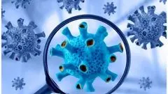 اعلام آماده‌باش به دلیل شیوع ویروس جدید