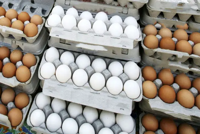 کاهش خرید تخم‌مرغ در تابستان قیمت آن را کاهش داد | قیمت هر شانه چند؟