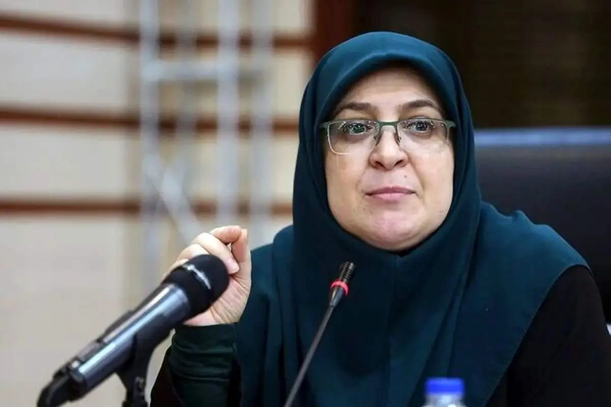 مهاجرانی خبر داد: کارت خرید ۵۰۰ میلیونی دولت برای تمام شهروندان