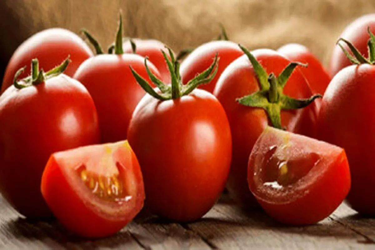 سرطان نمی گیرید اگر گوجه فرنگی بخورید