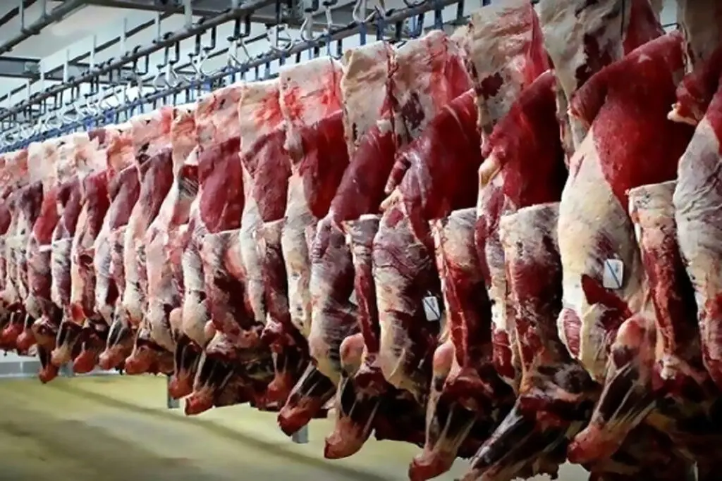 اعلام نرخ واقعی گوشت قرمز