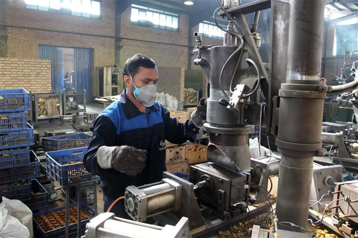 استقبال 11 هزار کارگاه از بخشودگی جرایم بیمه‌ای در کمتر از یک ماه