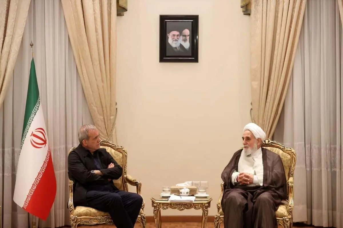 ناطق‌نوری با رئیس جمهوری منتخب دیدار کرد / 