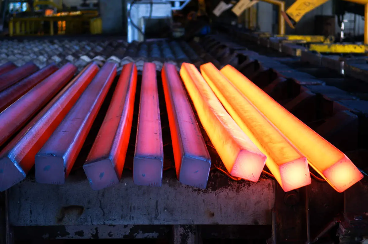  فولاژ در مسیر رشد و توسعه